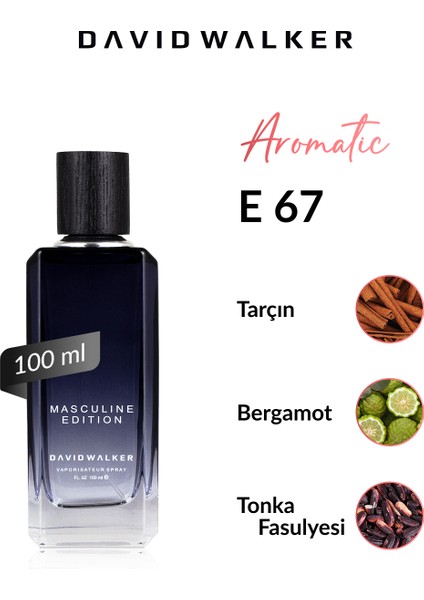 E67 Tom 100 ml Erkek Parfüm | Aromatic