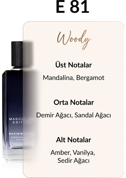 E81 Flash Two 100 ml Erkek Parfüm | Woody fiyatları