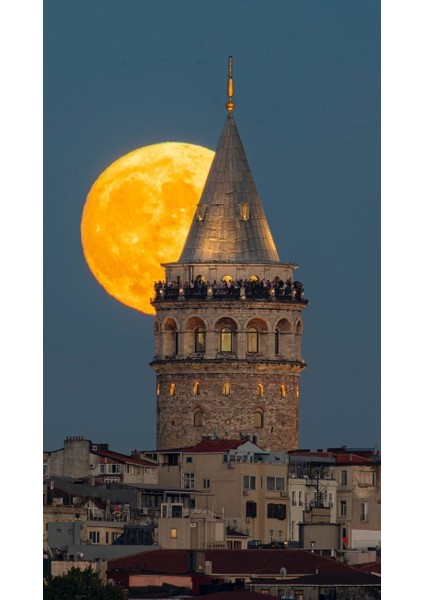 Kavga Eden Çift Aslan Ev Duvar Salon Güzellik Salonu Ofis Dükkan Dekarasyon Kanvas Tablo modelleri