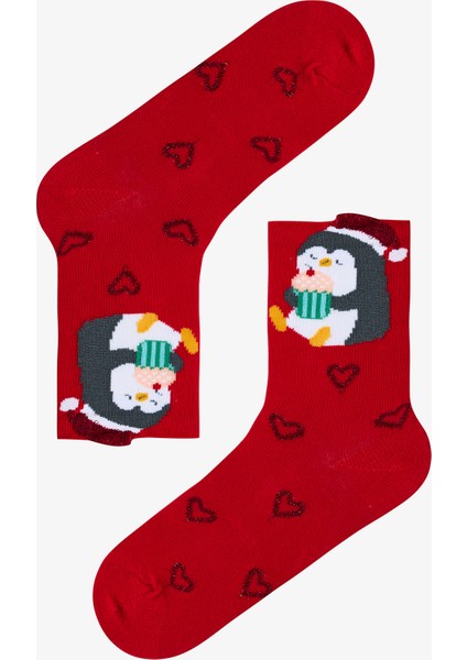 Çok Renkli Kız Çocuk Penguin 2li Soket Çorap fiyatları