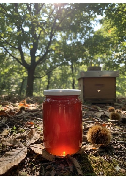 Kestane Balı fiyatları