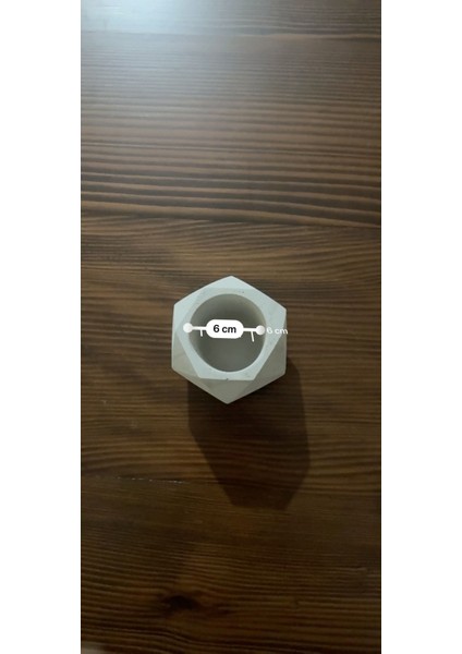 Saksı Sukulent Için Boyanabilir