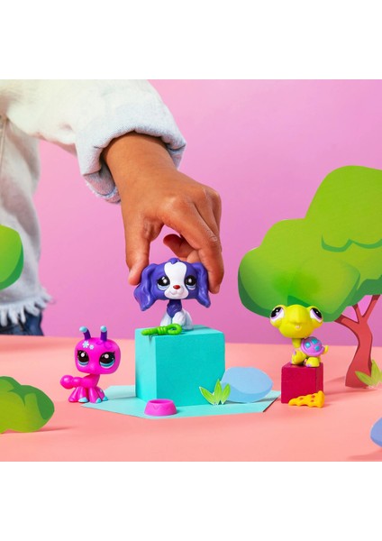 Lps Minişler Seri 3 Backyard Pets 3'lü Figür Paketi Karınca Köpek Kaplumbağa Minişler Yeni modelleri