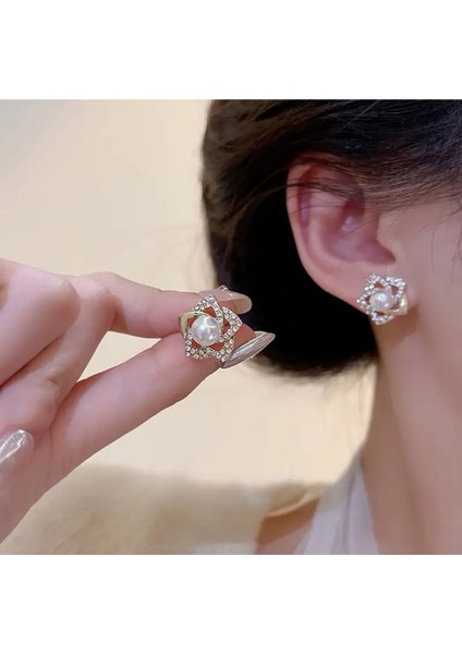 Kadın Küpe Inci Küpe Zarif Tasarım fiyatları