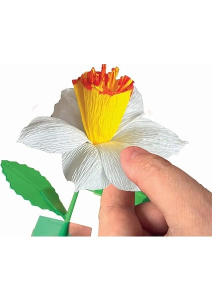 18876 Idea Clemetoni - Çiçek Tasarıım Seti - Nergis modelleri