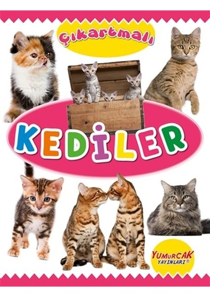 Çıkartmalı Kediler