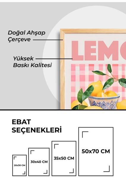 Limon Temalı Ahşap Çerçeveli Tablo - Bohem Pembe Tablo - Duvar Tablosu - Mutfak Tablo - Salon Tablo fiyatları