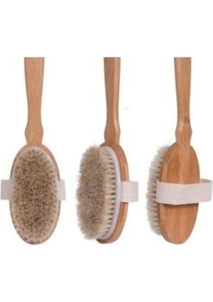 Doğal Organik At Kılı Banyo Fırçası, Sağlıklı ve Doğal Temizlik Için Mükemmel Seçim fiyatları