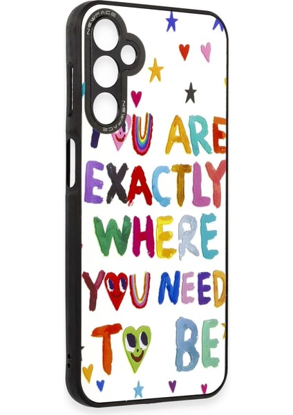 Buğz Samsung Galaxy A14 4g Kılıf Mirror Desenli Kapak - Mirror - 10