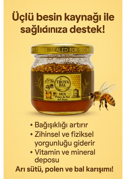 Troya Doğal Enerji Deposu Bal&polen&arısütü Karışımı 300 gr fiyatları