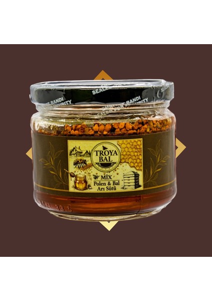 Troya Doğal Enerji Deposu Bal&polen&arısütü Karışımı 300 gr modelleri