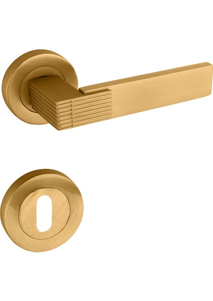 Premium Ahenk Yuvarlak Rozetli Kapı Kolu (Oda-Wc-Yale Kilit Tipleri)(Takım) Altın