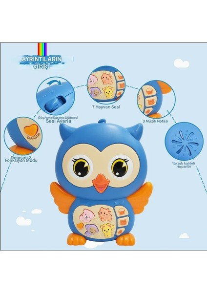 Baykuş Eğitici Bebek Piyanosu - Mavi (Lisinya) modelleri