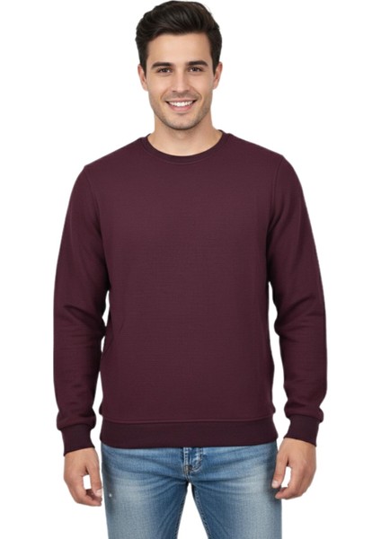 Erkek Sıfır Yaka Petek Doku Regular Fit Sweatshirt BGL-ST04950