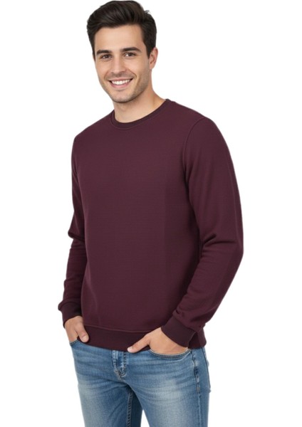 Erkek Sıfır Yaka Petek Doku Regular Fit Sweatshirt BGL-ST04950 fiyatları