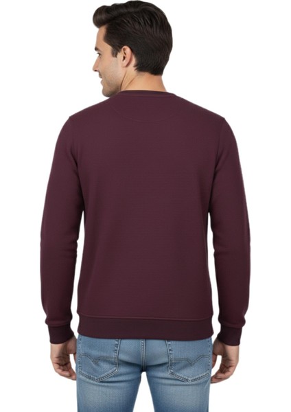 Erkek Sıfır Yaka Petek Doku Regular Fit Sweatshirt BGL-ST04950 modelleri