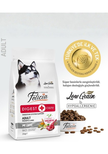 Kolajen Destekli Hipoalerjenik Kuzulu Yetişkin Medium Köpek Maması 3kg + 4 Adet Wanpy Ezme 90GR fiyatları