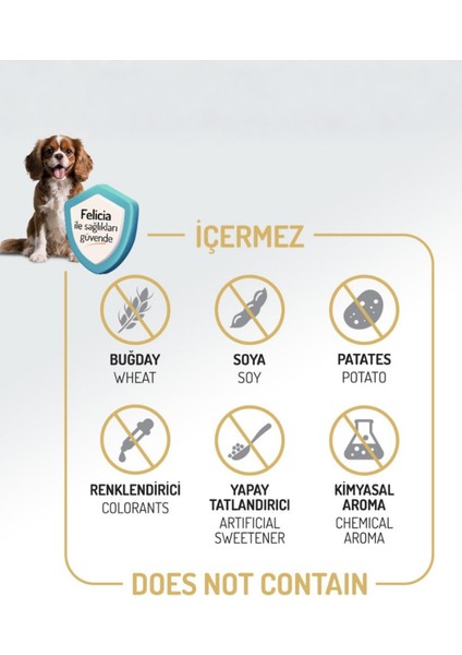 Kolajen Destekli Hipoalerjenik Kuzulu Yetişkin Medium Köpek Maması 3kg + 4 Adet Wanpy Ezme 90GR fırsatları