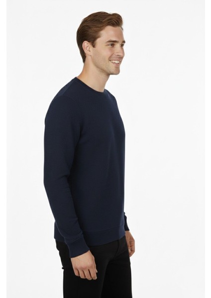 Erkek Sıfır Yaka Petek Doku Regular Fit Sweatshirt BGL-ST04950 modelleri