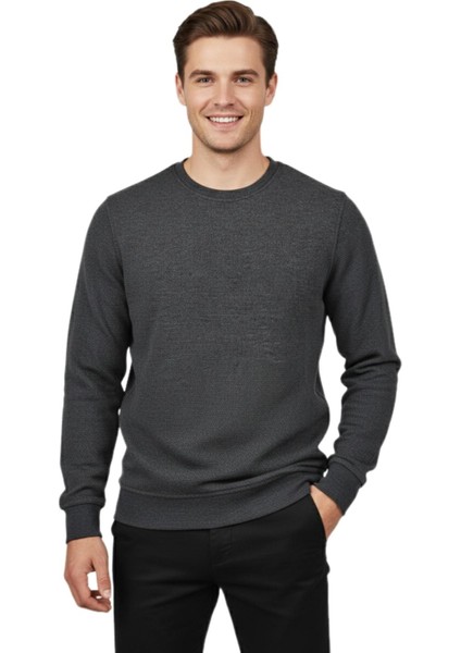 Erkek Sıfır Yaka Petek Doku Regular Fit Sweatshirt BGL-ST04950