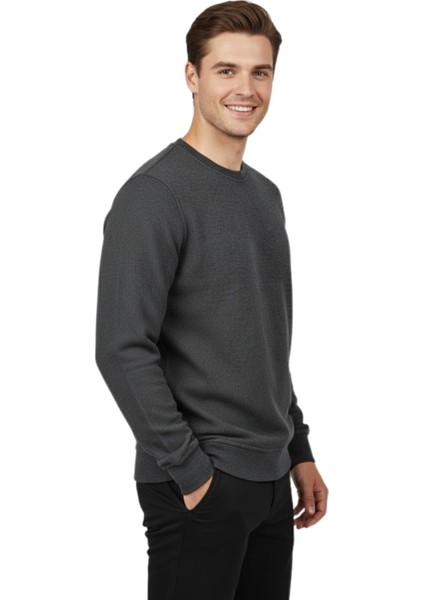 Erkek Sıfır Yaka Petek Doku Regular Fit Sweatshirt BGL-ST04950 fiyatları
