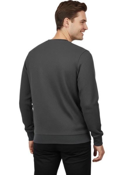 Erkek Sıfır Yaka Petek Doku Regular Fit Sweatshirt BGL-ST04950 modelleri