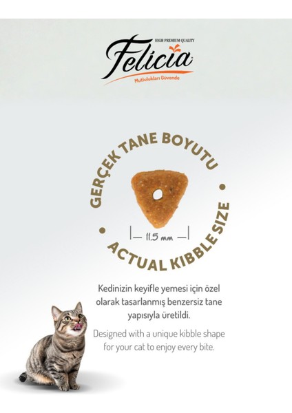 5 kg Somonlu Düşük Tahıllı Yetişkin Kısır Kedi Maması 25LI Kedi Ödülü Krema 15LI Lolipop modelleri