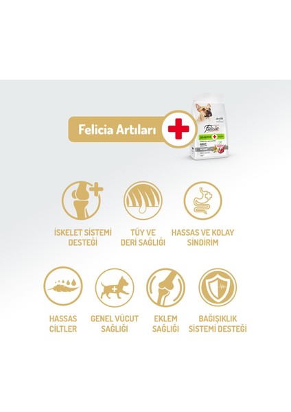 Kolajen Destekli Hipoalerjenik Kuzulu Yetişkin Küçük Irk Köpek Maması 3kg + 4 Adet Wanpy Ezme 90GR fiyatları