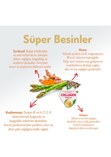 Kolajen Destekli Hipoalerjenik Kuzulu Yetişkin Küçük Irk Köpek Maması 3kg + 4 Adet Wanpy Ezme 90GR modelleri