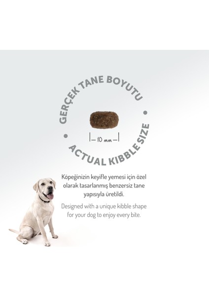 Kolajen Destekli Hipoalerjenik Kuzulu Yetişkin Küçük Irk Köpek Maması 3kg + 4 Adet Wanpy Ezme 90GR