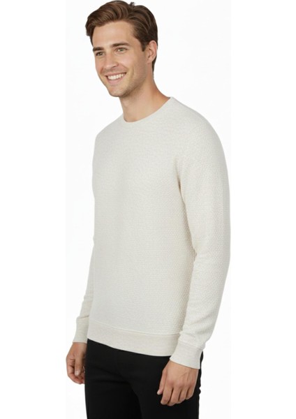 Erkek Sıfır Yaka Petek Doku Regular Fit Sweatshirt BGL-ST04950 fiyatları