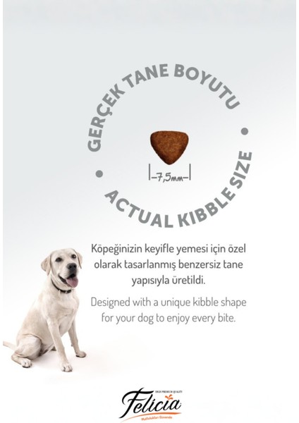 Kolajen Destekli Hipoalerjenik Yavru Kuzulu Köpek Maması 3kg + 4 Adet Wanpy Ezme 90GR indirimleri