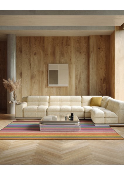 Pantone 61 Çizgili Tasarım Renkli Halı Modern Oturma Odası Yolluk Ince Yazlık Ev Oda Salon Halısı modelleri