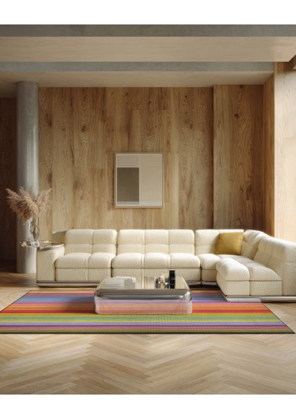 Pantone 62 Çizgili Tasarım Renkli Halı Modern Oturma Odası Yolluk Ince Yazlık Ev Oda Salon Halısı modelleri