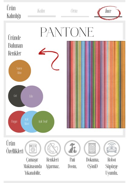 Pantone 62 Çizgili Tasarım Renkli Halı Modern Oturma Odası Yolluk Ince Yazlık Ev Oda Salon Halısı fırsatları