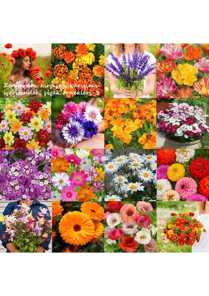 Kır Çiçekleri Tohumu Karışımı 12 Gr. Sürdürülebilir Bahçecilik fiyatları