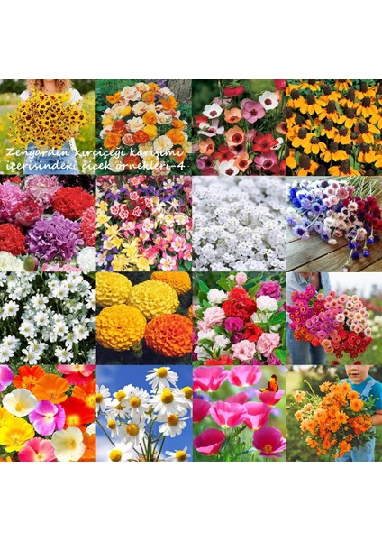 Kır Çiçekleri Tohumu Karışımı 12 Gr. Sürdürülebilir Bahçecilik modelleri