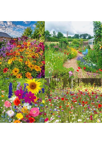 Kır Çiçekleri Tohumu Karışımı 12 Gr. Sürdürülebilir Bahçecilik fırsatları