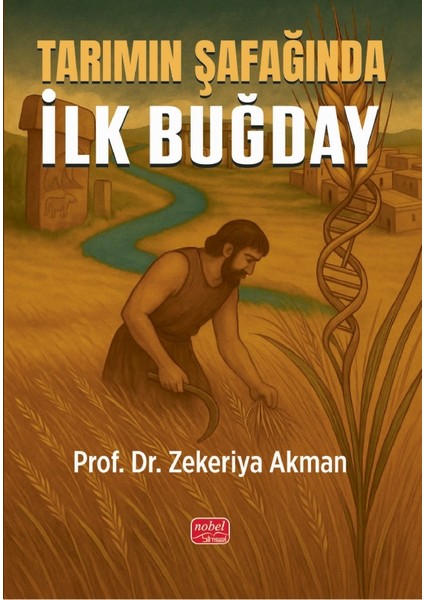 Tarımın Şafağında İlk Buğday