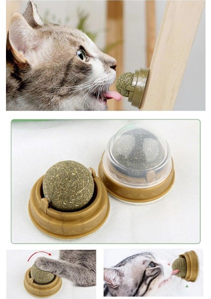 Duvara Yapışan Dönen Kedi Nanesi Cat Oyun Topu Doğal Kedi Oyuncağı modelleri