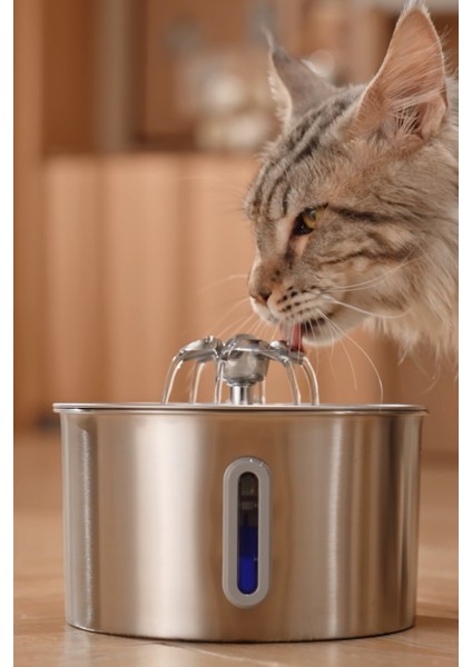 Sensörlü 2.2 L Göstergeli Paslanmaz Çelik Kedi Köpek Için Su Pınarı Su Çeşmesi Su Sebili BP02 fiyatları