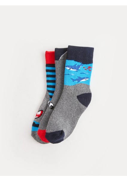 Yeni Sezon Desenli Erkek Çocuk Havlu Soket Çorap 3'lü fiyatları