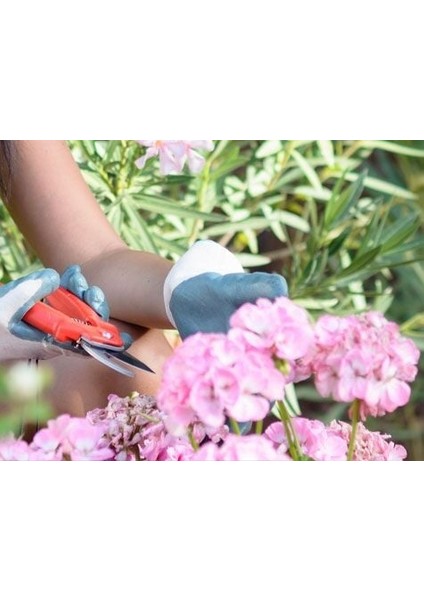 Çok Amaçlı Bahçe Makası modelleri