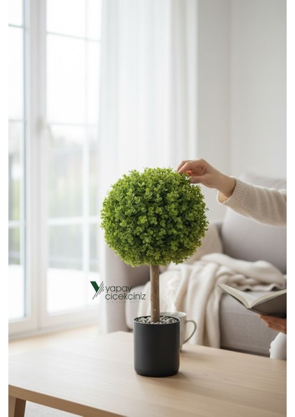 Siyah Renkli Saksıda Yoğun Yapraklı 65 cm Yapay Top Şimşir Ağacı 35X35