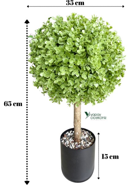 Siyah Renkli Saksıda Yoğun Yapraklı 65 cm Yapay Top Şimşir Ağacı 35X35 fiyatları