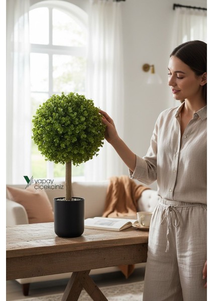 Siyah Renkli Saksıda Yoğun Yapraklı 65 cm Yapay Top Şimşir Ağacı 35X35 modelleri
