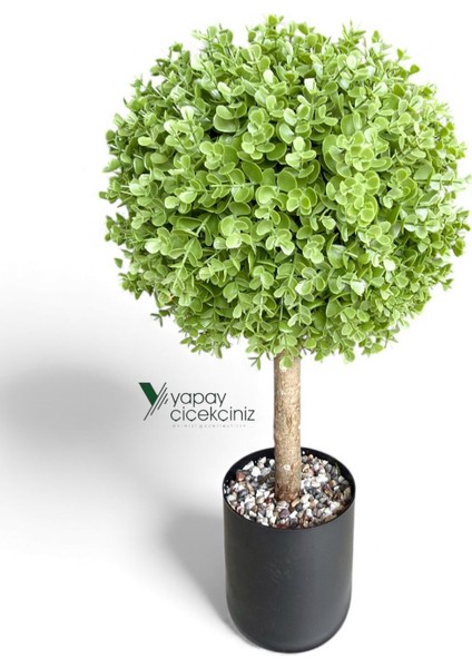 Siyah Renkli Saksıda Yoğun Yapraklı 65 cm Yapay Top Şimşir Ağacı 35X35 fırsatları