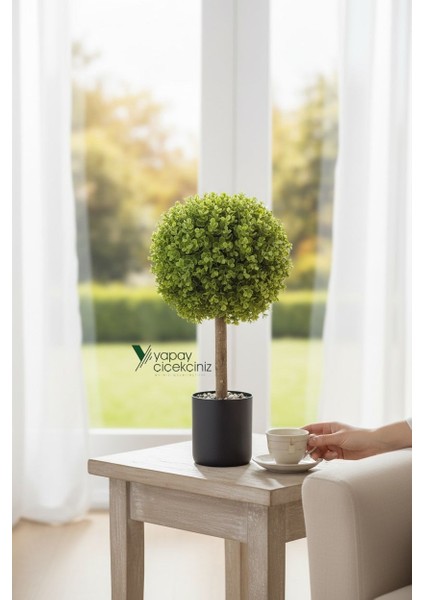 Siyah Renkli Saksıda Yoğun Yapraklı 65 cm Yapay Top Şimşir Ağacı 35X35 indirimleri