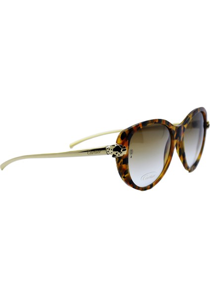 Panthere De Gold Cat Eye Havana Kahverengi Altın Kadın Güneş Gözlüğü fiyatları
