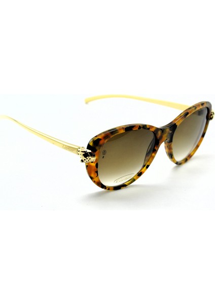 Panthere De Gold Cat Eye Havana Kahverengi Altın Kadın Güneş Gözlüğü fırsatları